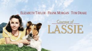 El valor de Lassie — foto 1
