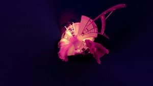 Through You — foto 1