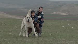 Sivas — foto 1