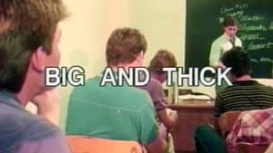 Big & Thick — foto 1
