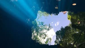 Cenote — foto 1