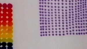 Point — foto 1
