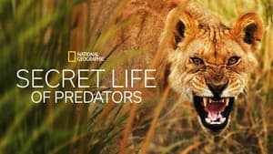 Secret Life of Predators — foto 7