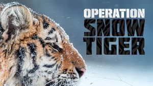 Operation Snow Tiger — foto 1
