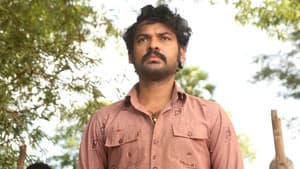 சார் — foto 6