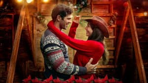 Holidays at the Ranch — foto 1