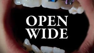 Open Wide — foto 2