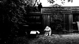Silent Monologues — foto 1