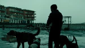 Dogman — foto 9
