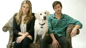 Who Gets the Dog? — foto 1