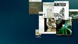 No te metas con los gatos: Un asesino en internet — foto 3