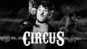 El circo — foto 11
