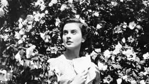 Vesna — foto 4