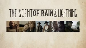 The Scent of Rain & Lightning — foto 10