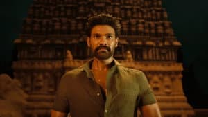 హైనదవ — foto 2