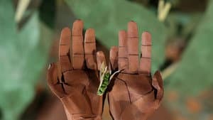 Seed: The Untold Story — foto 9