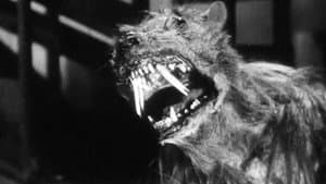The Killer Shrews — foto 5