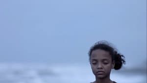 Selva — foto 1