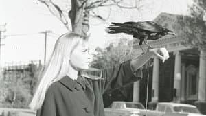 Peyton Place — foto 4