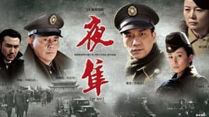 夜隼 — foto 1