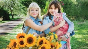 Onneli, Anneli ja Salaperäinen muukalainen — foto 1