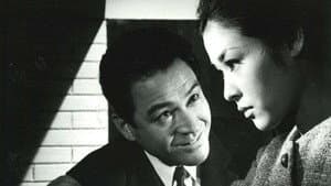 夜の罠 — foto 1