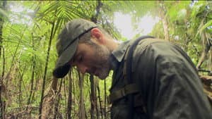 Episodio 6