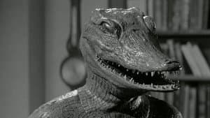 El caimán humano — foto 5