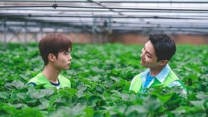 트랙터는 사랑을 싣고 — foto 5