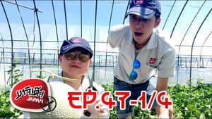 Episodio 33