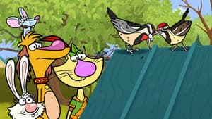Episodio 35
