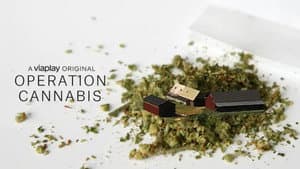 Operation Cannabis — foto 3