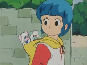 Episodio 15