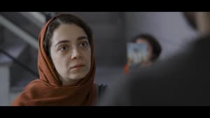 پورتال P — foto 6