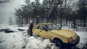 Війна очима тварин — foto 1