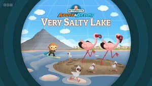 Episodio 13