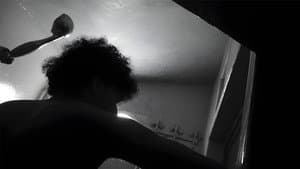 Shadows of Silence — foto 1