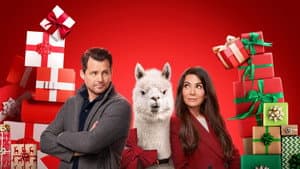 We Wish You a Married Christmas — foto 3