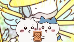 Episodio 7