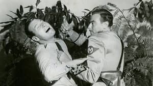 Forced Landing — foto 1