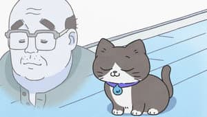 Episodio 22