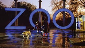 A Zed & Two Noughts — foto 2