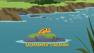 Episodio 10