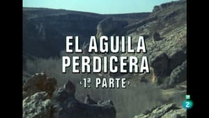 Episodio 9