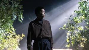 Episodio 8