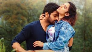కృష్ణ వ్రింద విహారి — foto 4