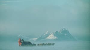Au Sud du Sud — foto 1
