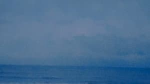 Anatomy of a Wave — foto 1