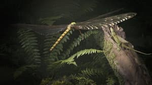 Mystérieux insectes, sur la piste des origines — foto 1