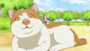 Episodio 10